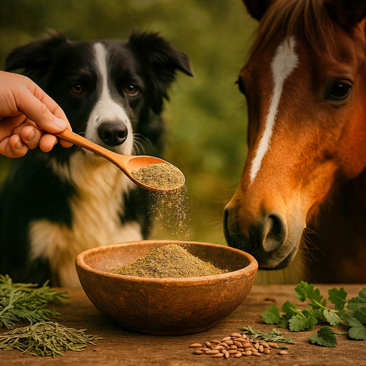 Hanf Feinschrot für Tiere - Sanafino