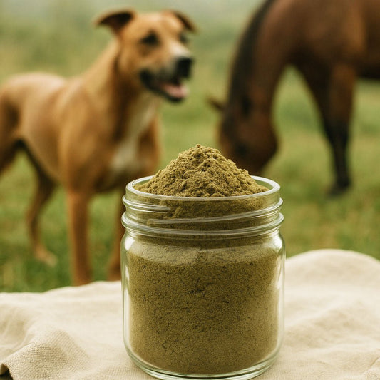 Hanf-Protein für Tiere - Sanafino