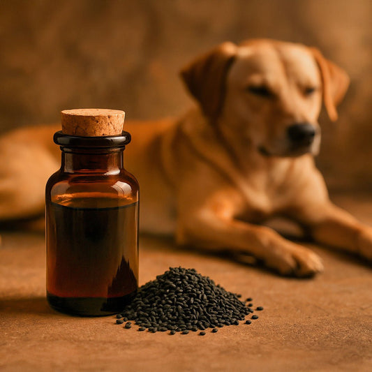 Schwarzkümmelöl für Tiere - Sanafino