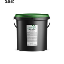 Hanf Samen - Hanf Samen - Sanafino