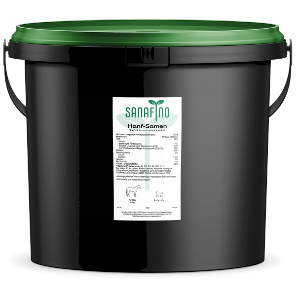 Hemp seeds conventional 6kg