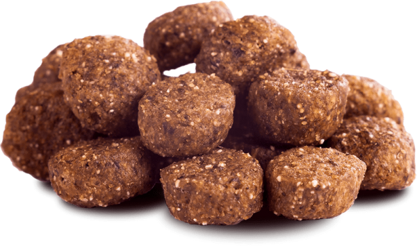 LACHS (Senior / Adult Light)