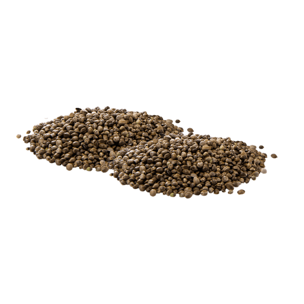 Hemp seeds conventional 1,5kg
